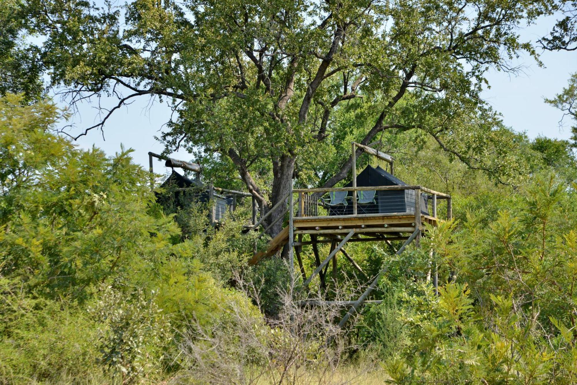 Rhino Walking Safaris Hotell Skukuza Exteriör bild