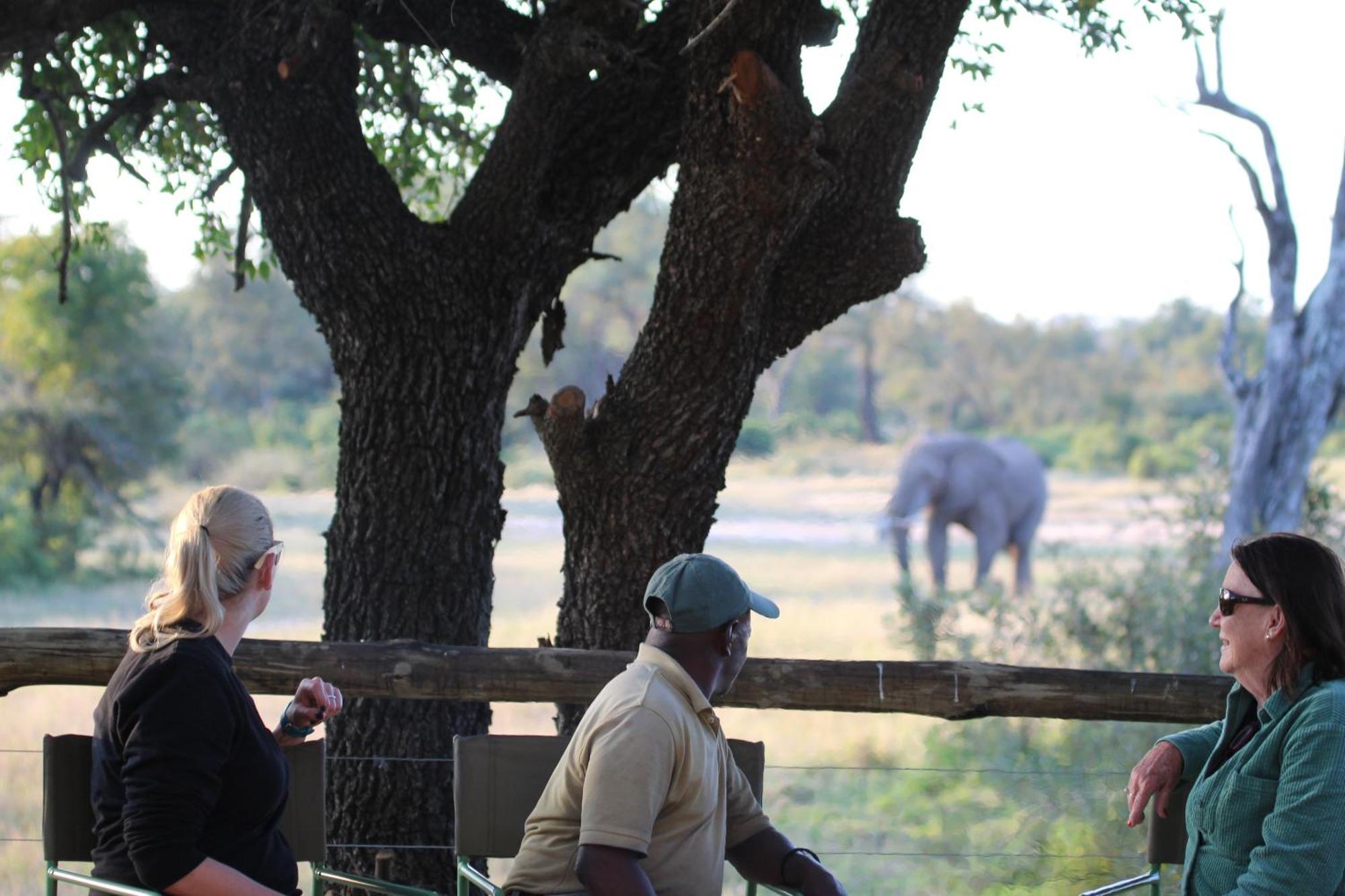 Rhino Walking Safaris Hotell Skukuza Exteriör bild