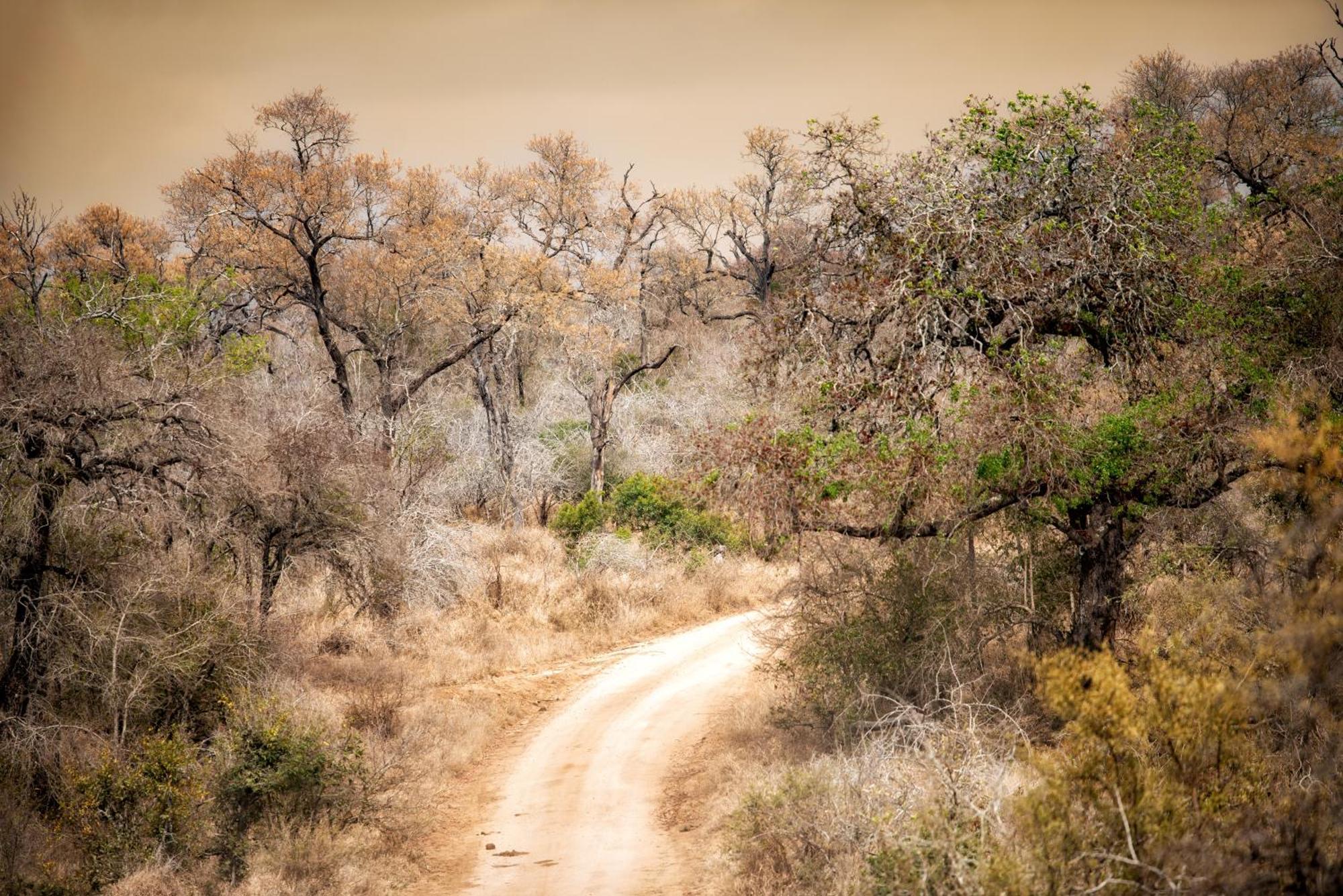 Rhino Walking Safaris Hotell Skukuza Exteriör bild