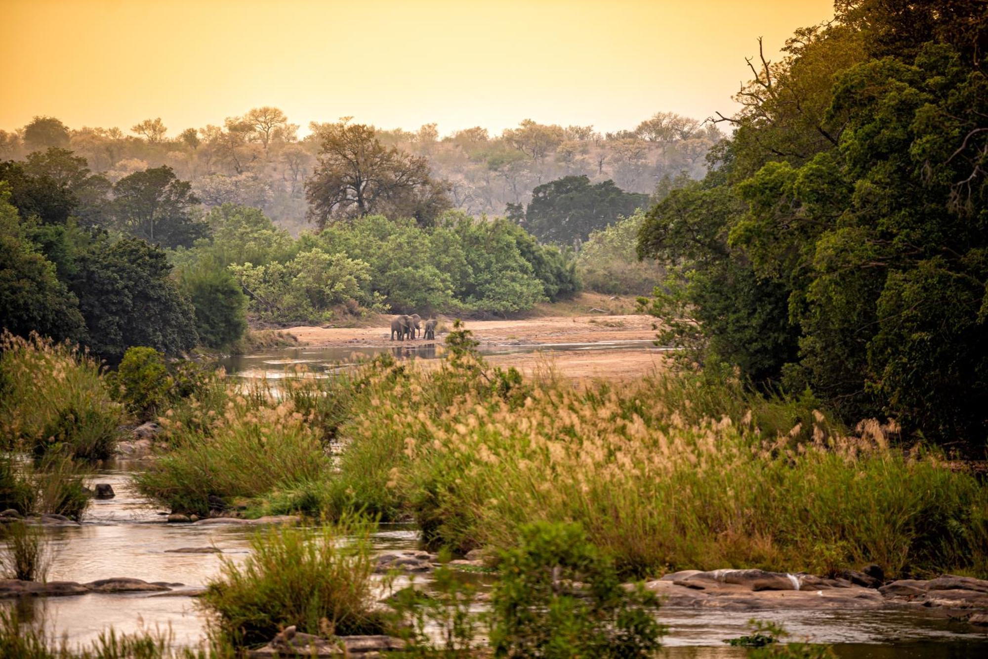 Rhino Walking Safaris Hotell Skukuza Exteriör bild