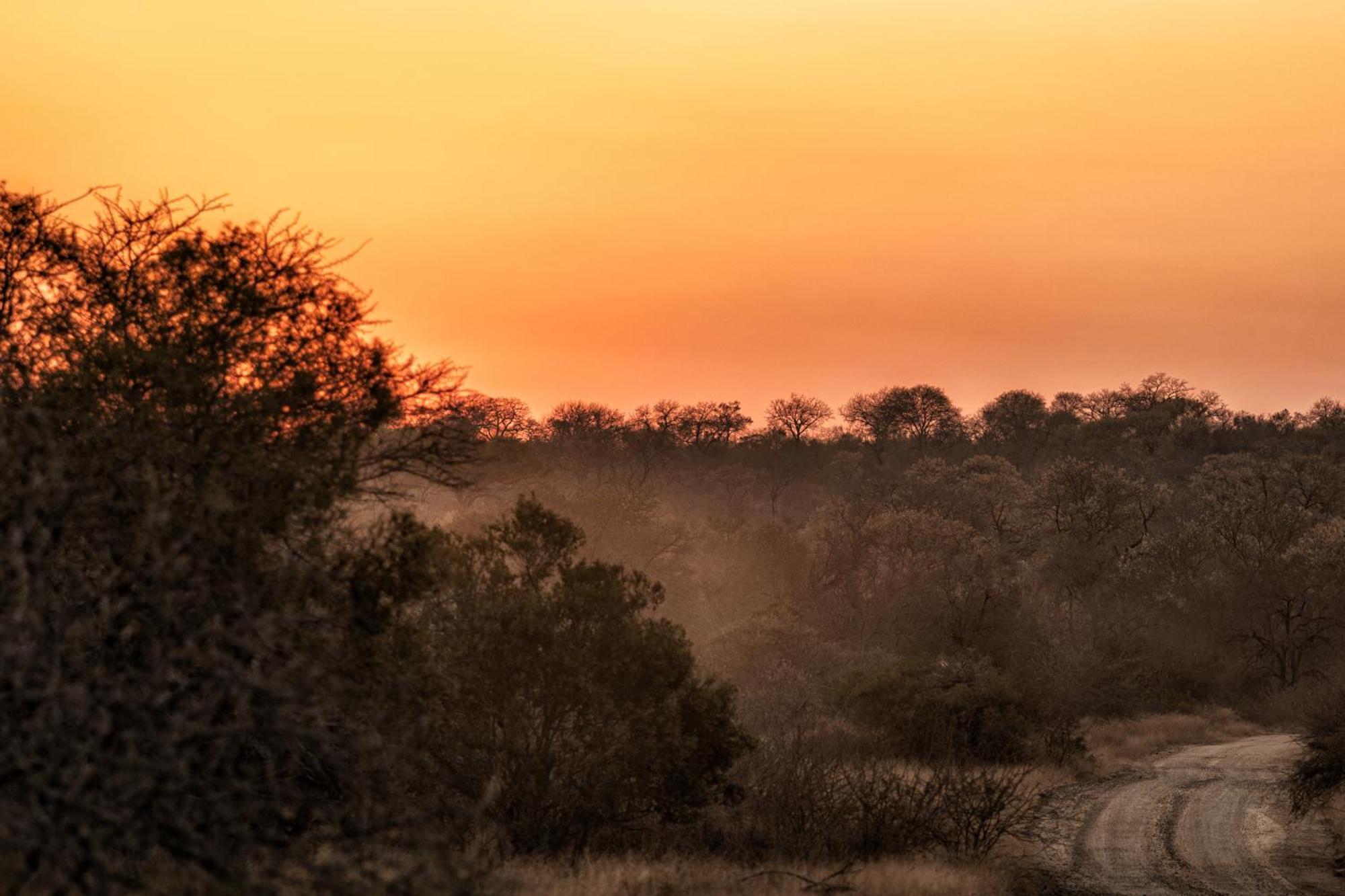 Rhino Walking Safaris Hotell Skukuza Exteriör bild