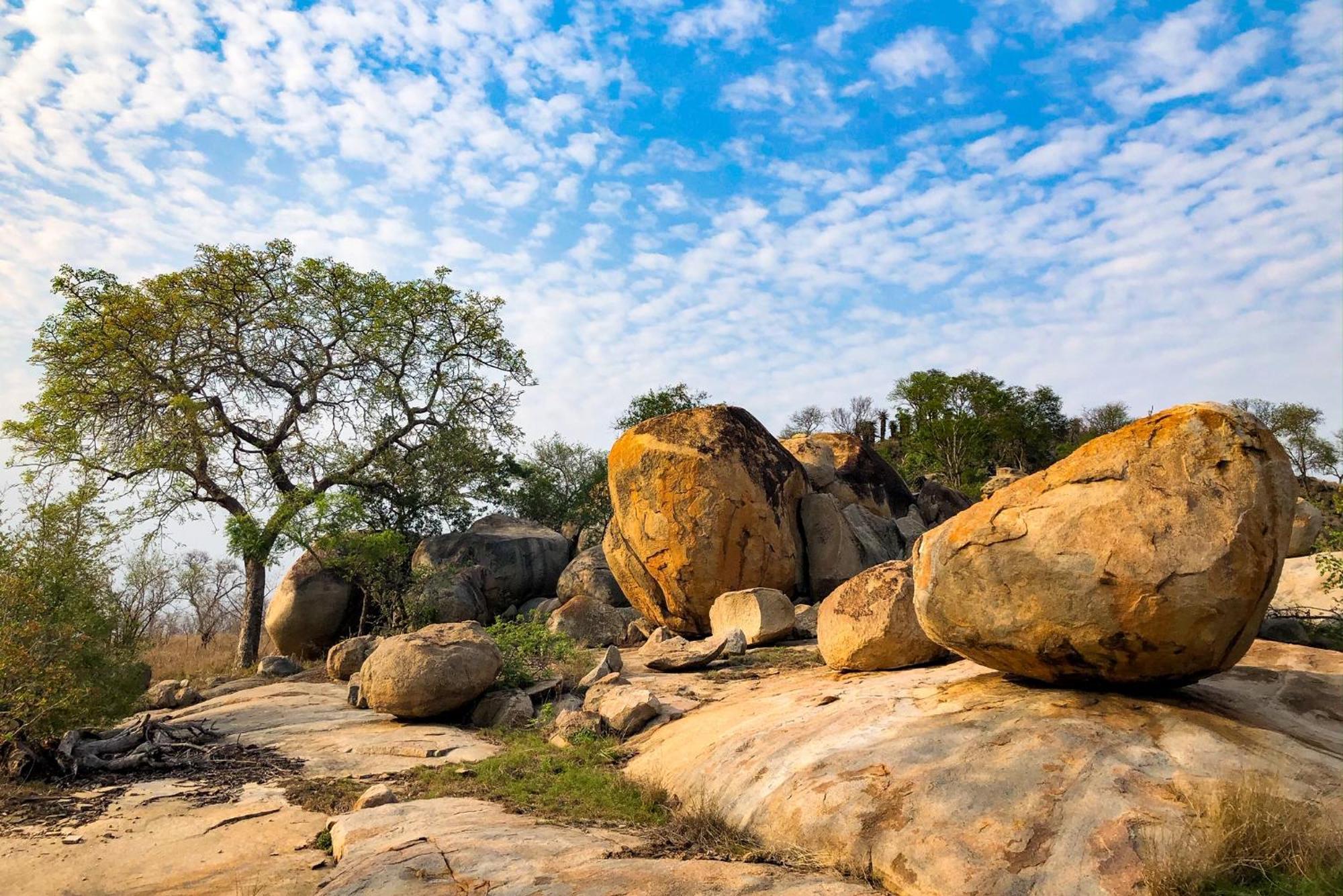 Rhino Walking Safaris Hotell Skukuza Exteriör bild