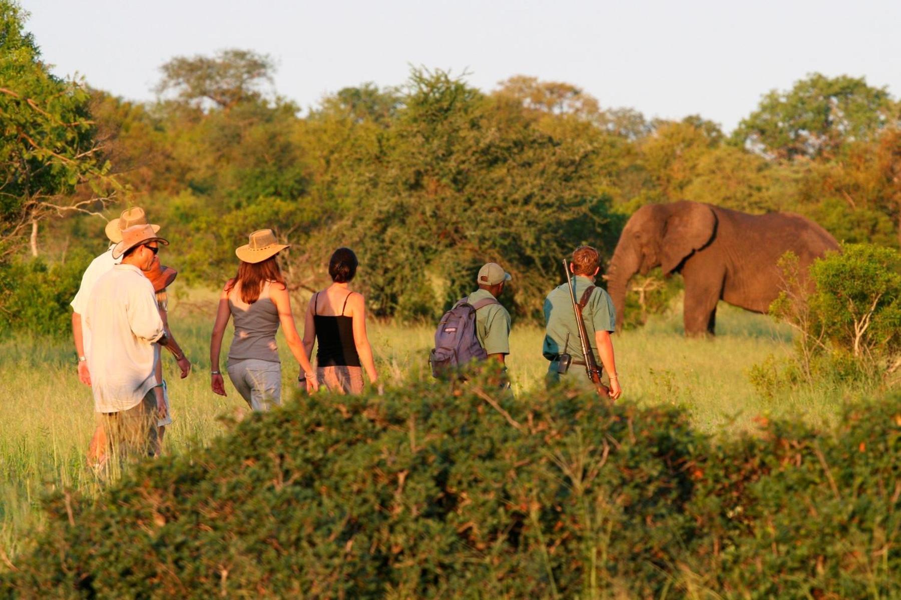 Rhino Walking Safaris Hotell Skukuza Exteriör bild