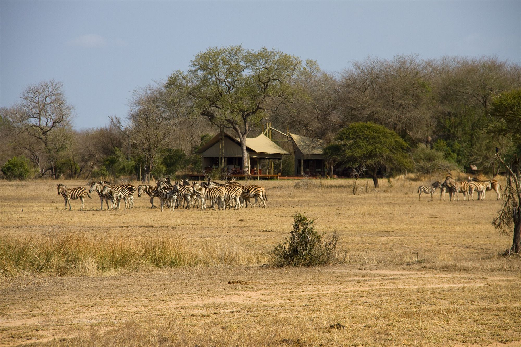 Rhino Walking Safaris Hotell Skukuza Exteriör bild