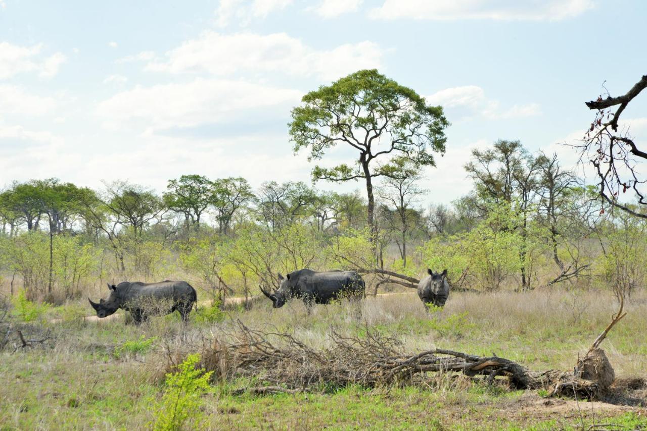 Rhino Walking Safaris Hotell Skukuza Exteriör bild